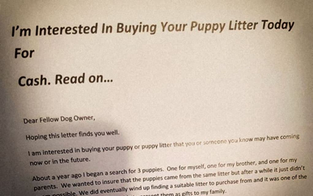                      Letter soliciting for puppies raises suspicions about buyer’s intentions                             
                     