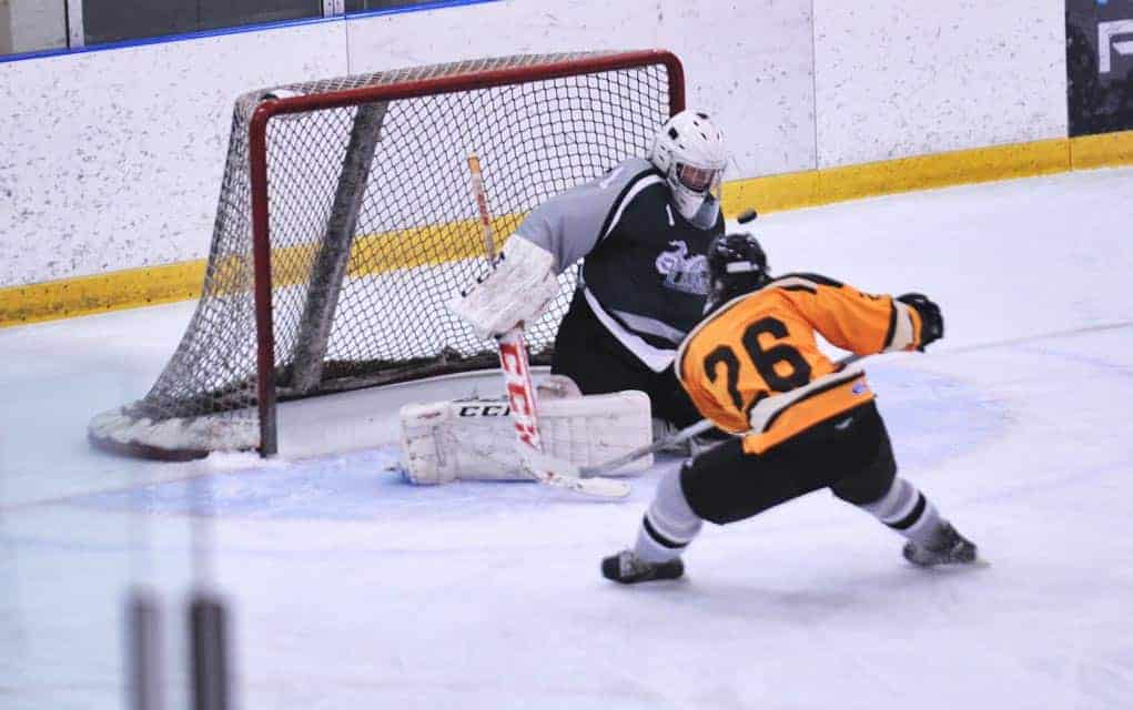                      EDSS goalie Connor Duench named 2017 WCSSAA hockey MVP                             
                     