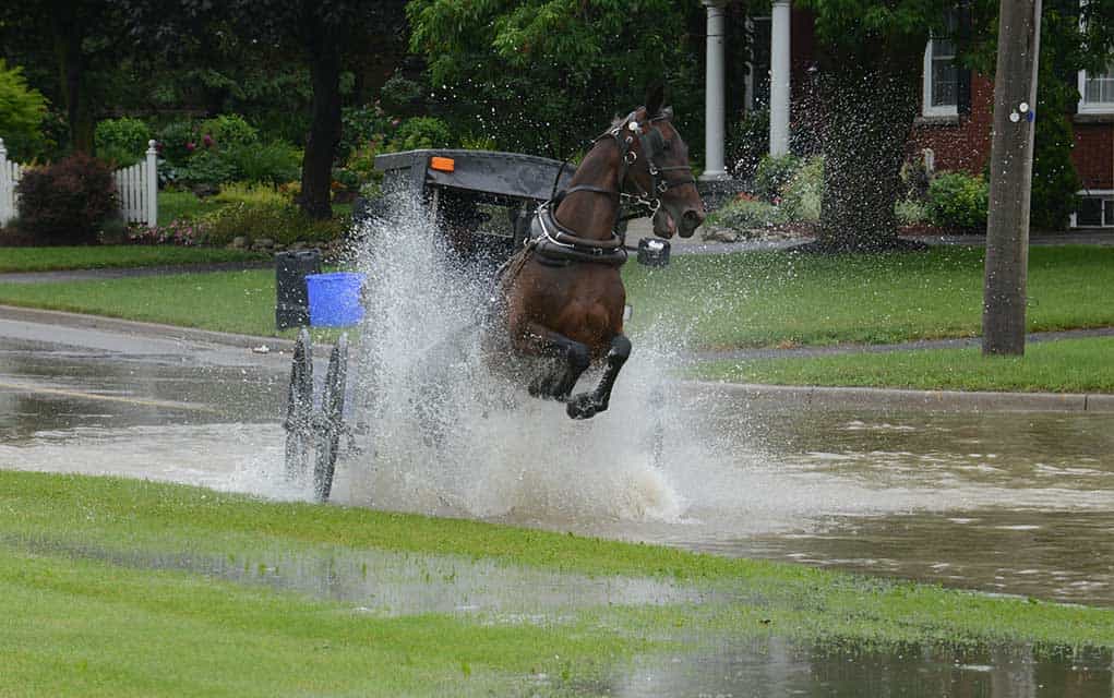                      Flooding in parts of Elmira and Floradale                             
                     