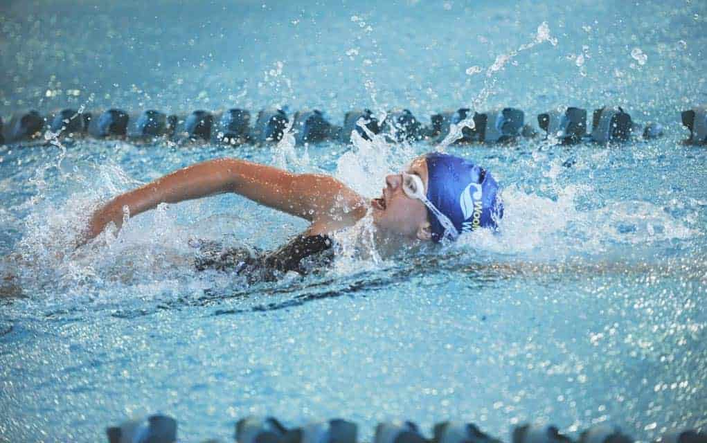 
                     Results from Elmira swim meet positions Woolwich Wave for a strong finish to season
                     