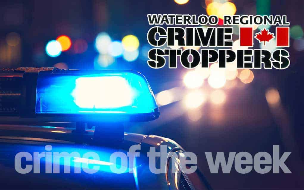 Crime of the week – December 6, 2017