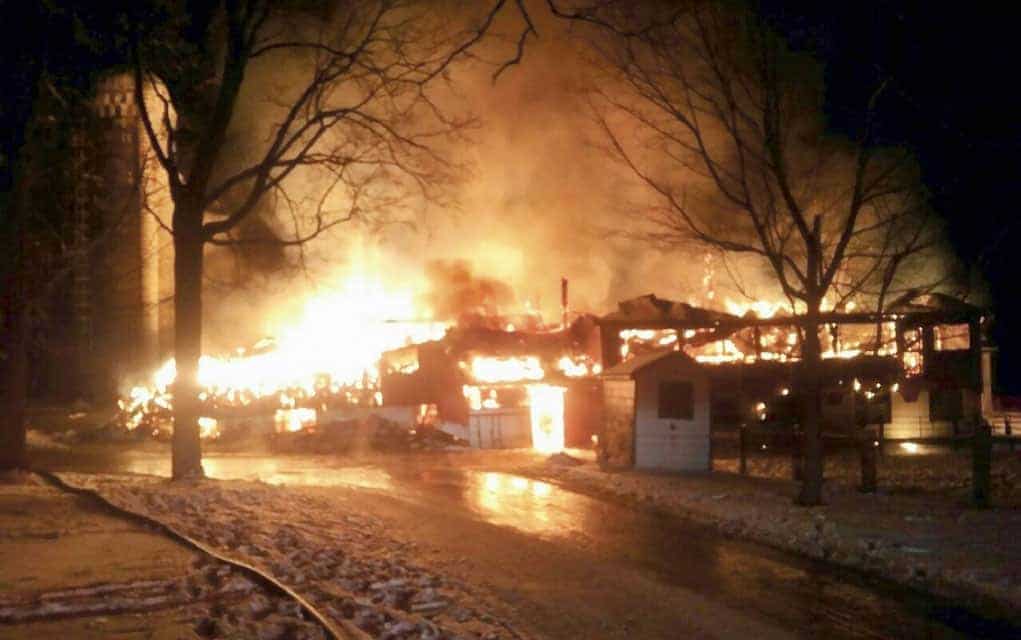 Wellesley barn fire sees livestock perish, with damage put at $400,000