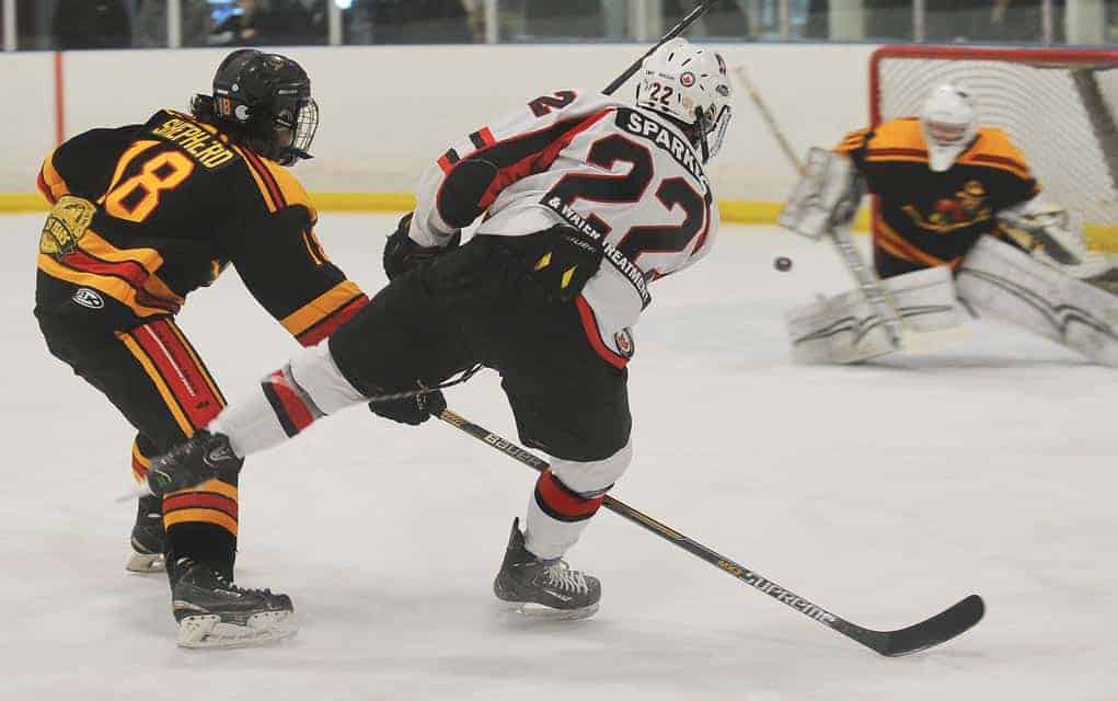 
                     Applejack Ryan Sparkes, going in for the kill at Sunday’s playoff game in Wellesley against the Paris Mounties. Wellesley fel
                     