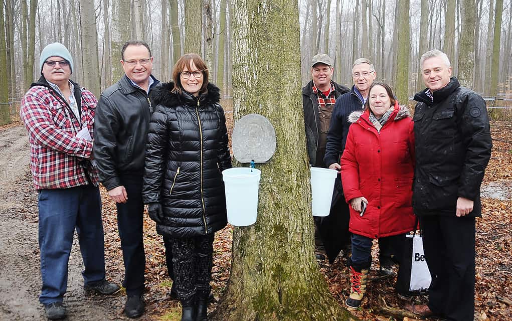                      First tap makes syrup season official                             
                     