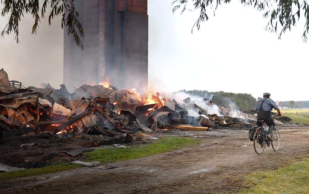                      Cattle perish as fire levels barn near Elmira                             
                     