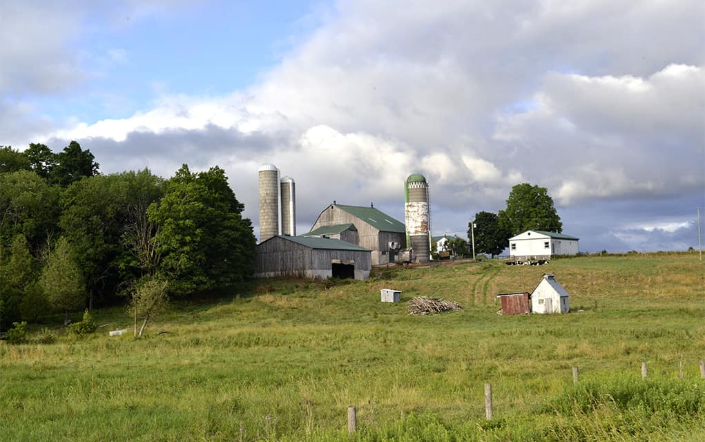 Group publishes guide for prospective new farmers