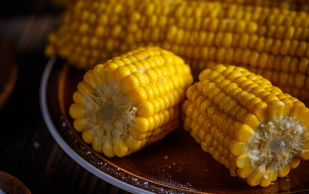                      Putting all that fresh corn to a sweet use                             
                     