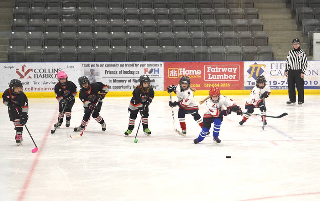                      Girls’ hockey skills on display as Woolwich Wild hosts tournament                             
                     