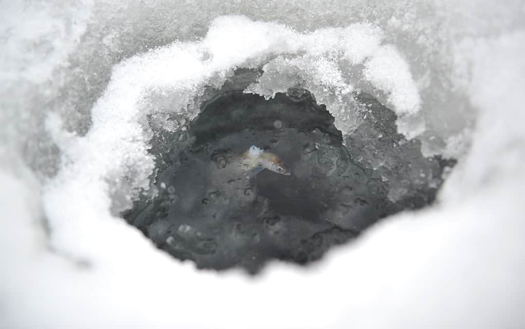 Cold snap allows GRCA to open one of its ice-fishing spots