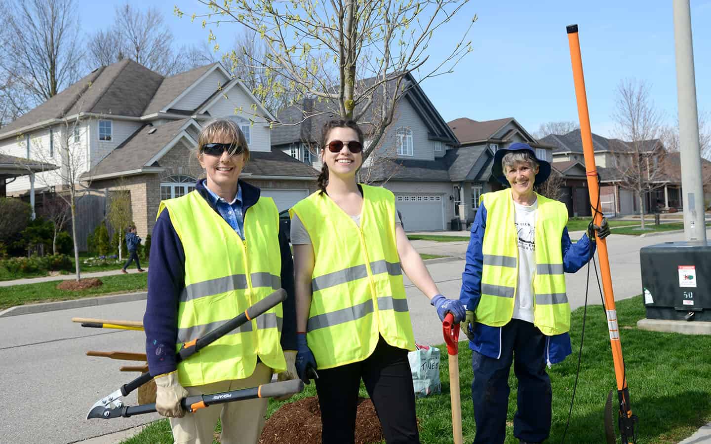 Getting in shape to keep township trees in good shape