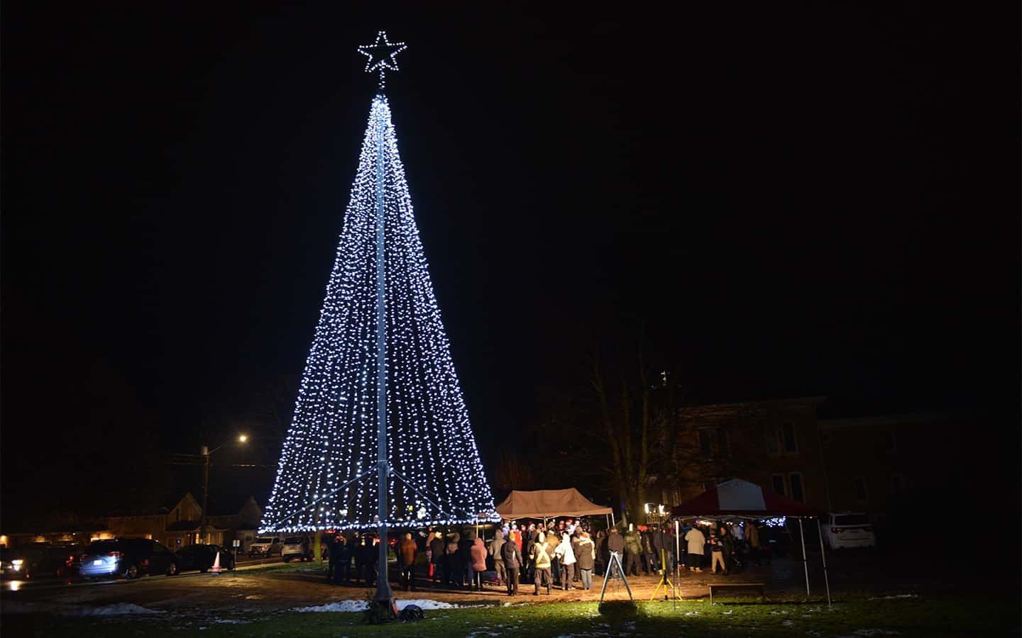 Wellesley Lions Tree of Light campaign kicks off the season