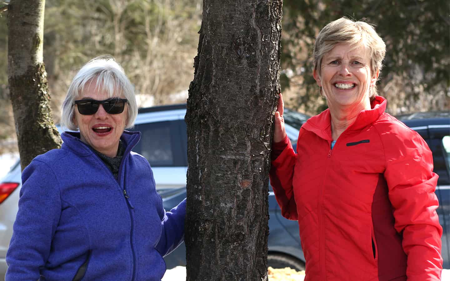 Local group pledges to plant 5,000 more trees this year