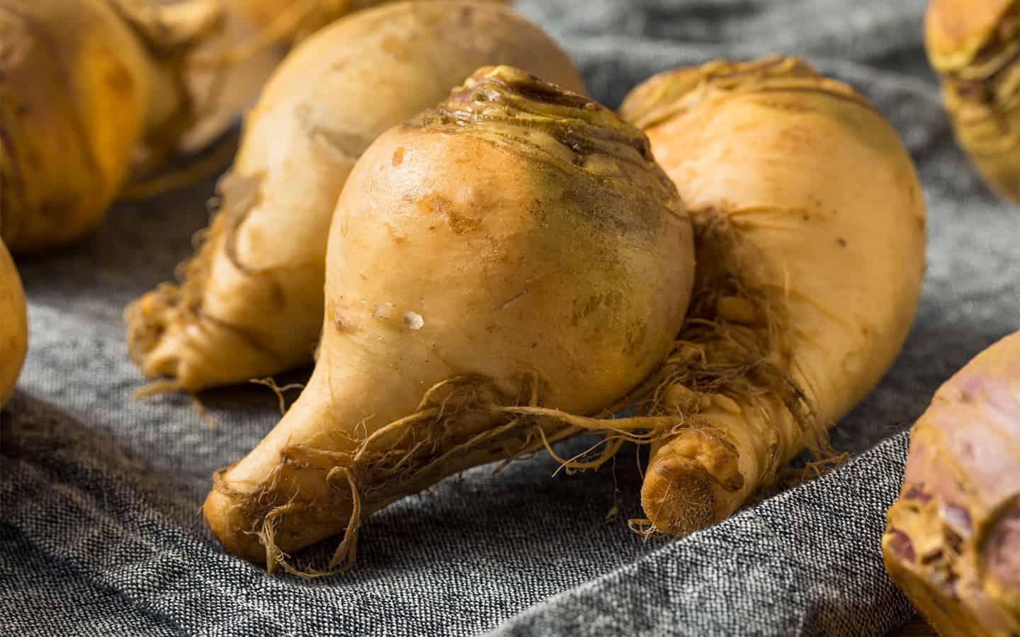                      Getting to the root of a tasty use for an overlooked vegetable                             
                     