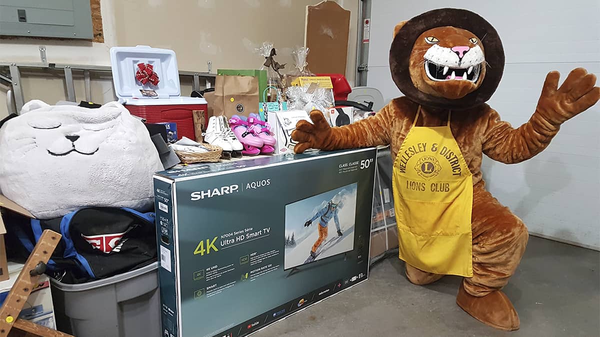 Wellesley Lions go online with fundraising auction to support youth recreation programs