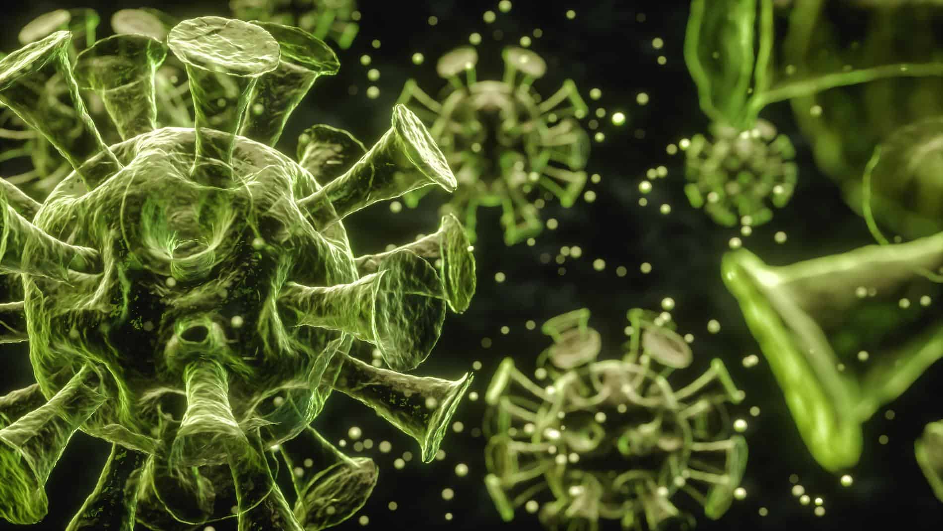 
                     Coronavirus infection with copy space, microscope view. 3d Render
                     