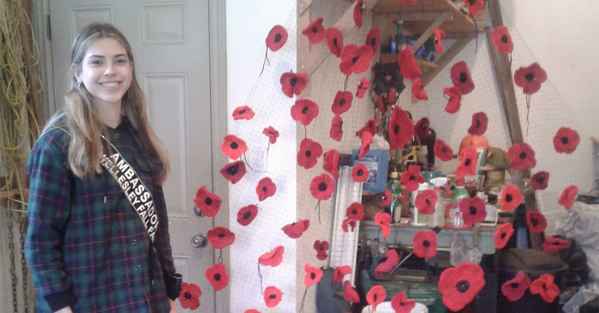 Wellesley Township poppy project to be unveiled Oct. 28