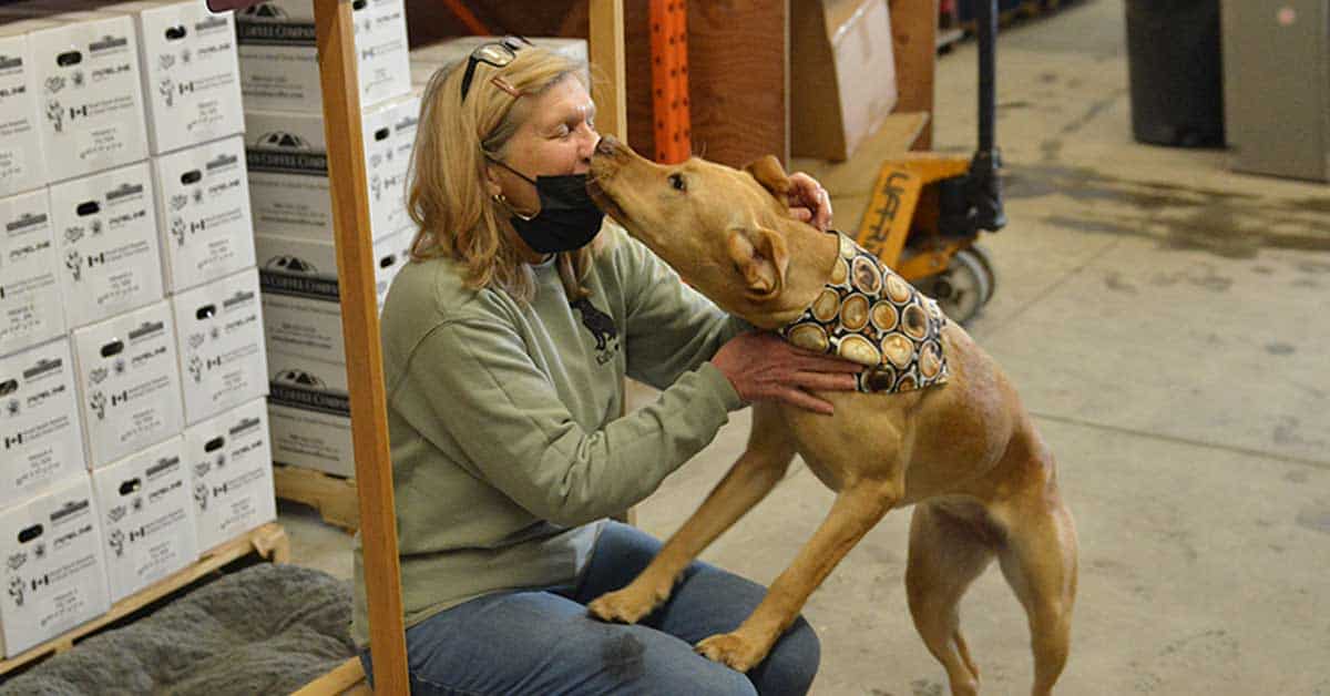 Where Valentine’s Day means a smooch from a pooch