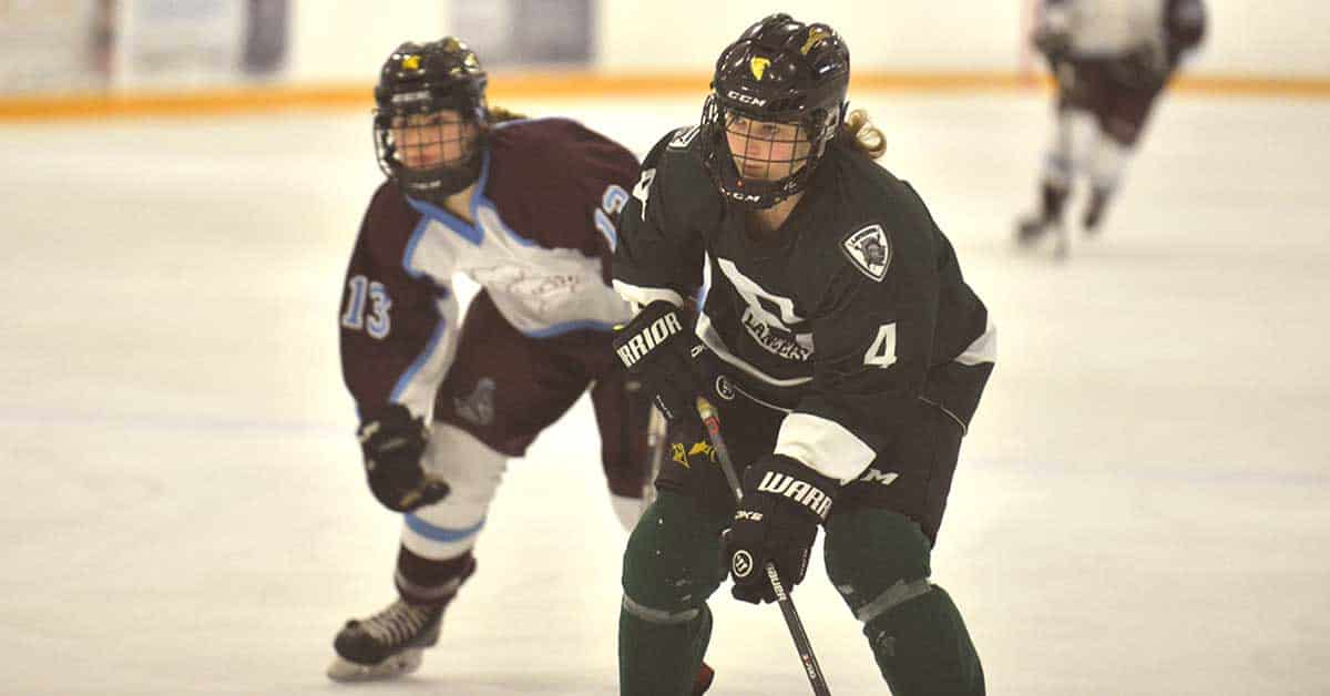                      EDSS girls’ hockey posts first loss of the year at finals                             
                     